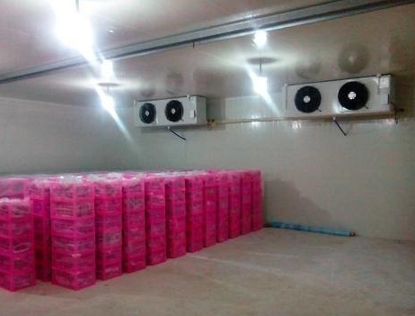 小金小型冷库工程